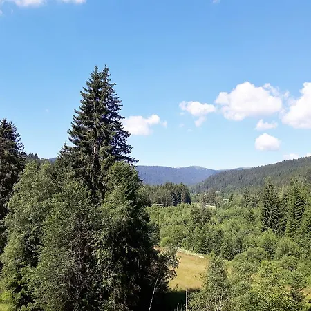Schwarzwaldherz