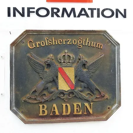 Schwarzwaldherz 公寓 费尔德伯格